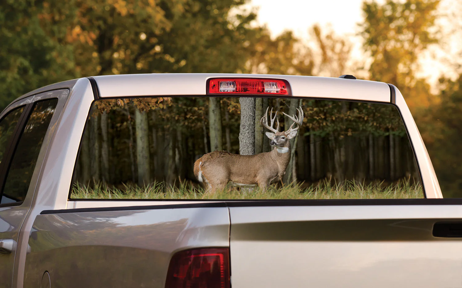 Rear Window Graphics